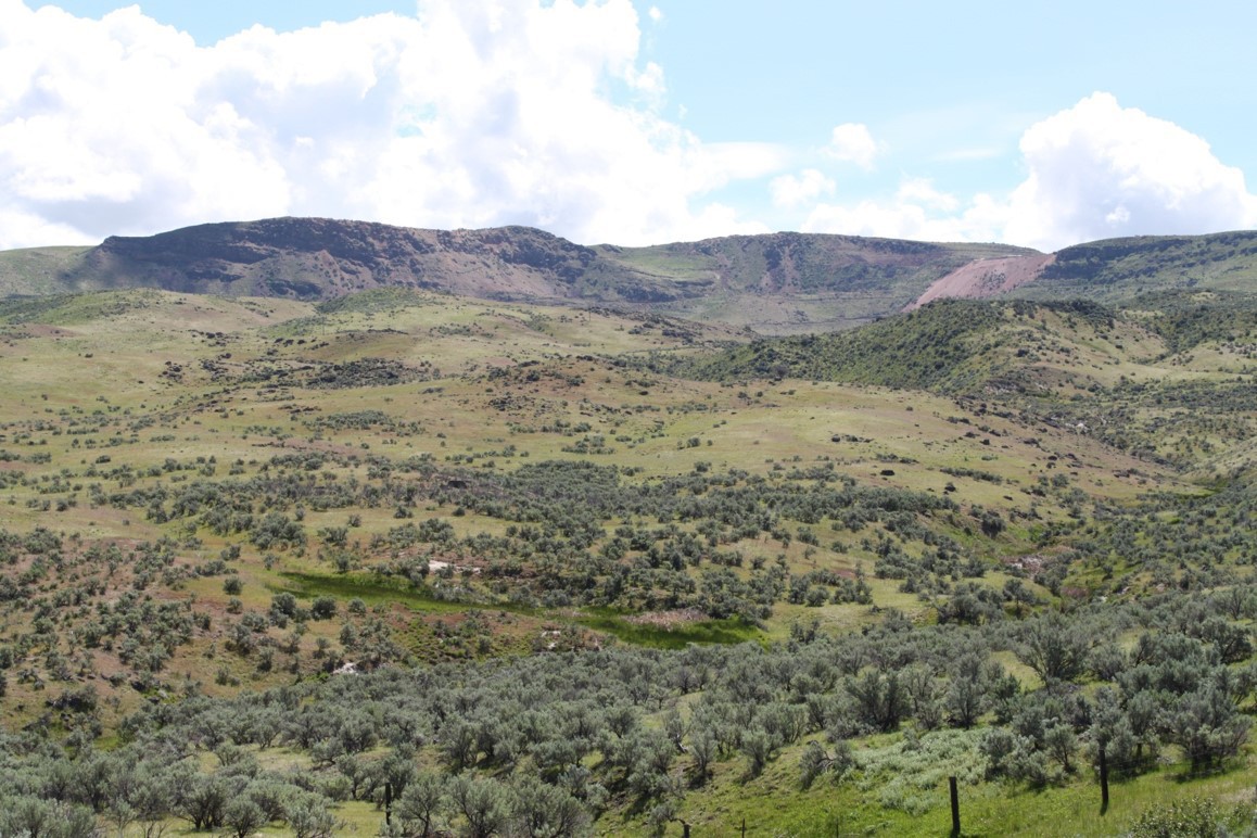 Gold royalty Corp. Almaden vista